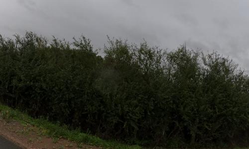 Photo de Prévocourt