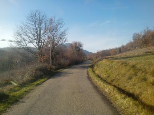 Photo de Prugnanes