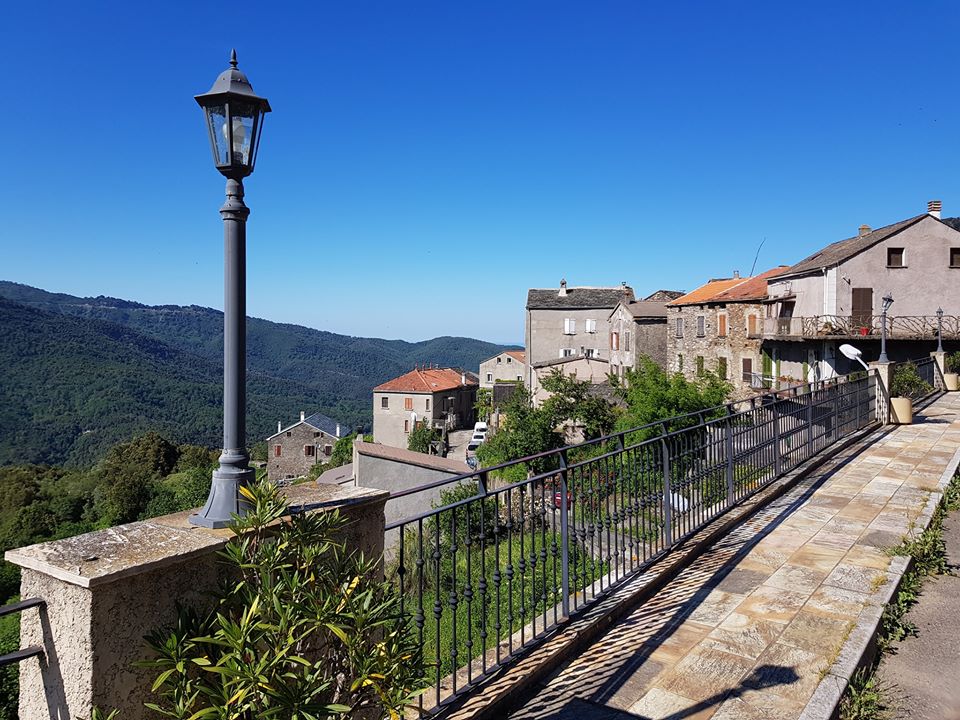 Photo de Pruno