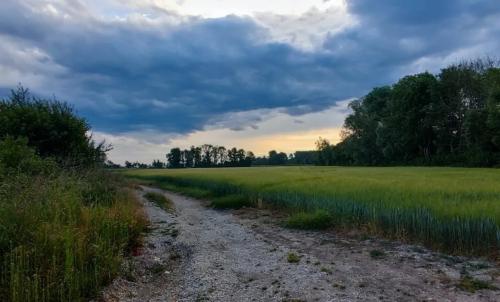 Photo de Rancourt-sur-Ornain