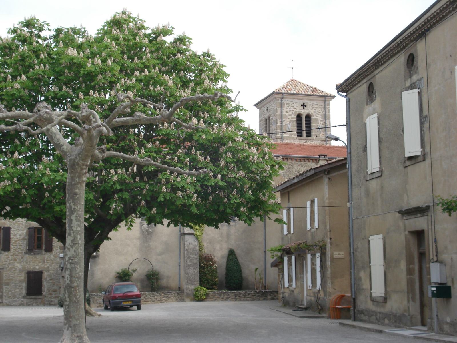 Photo de Ratières