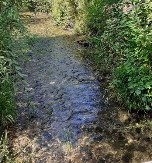 Photo de Recques-sur-Course