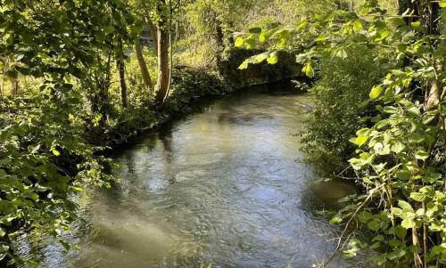 Photo de Remaucourt