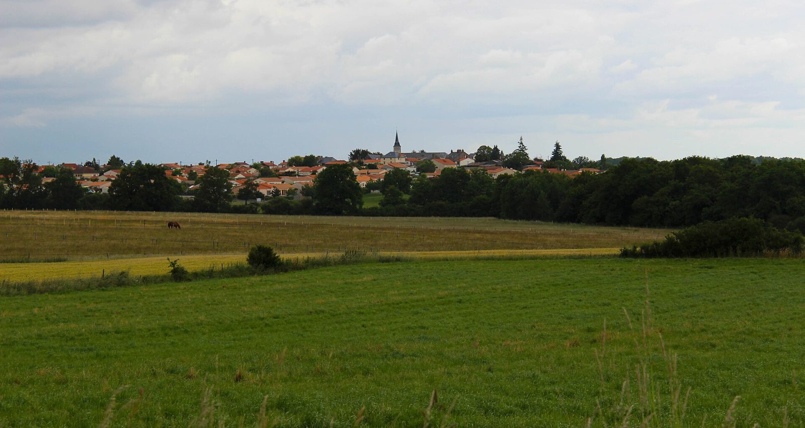Photo de Remouillé