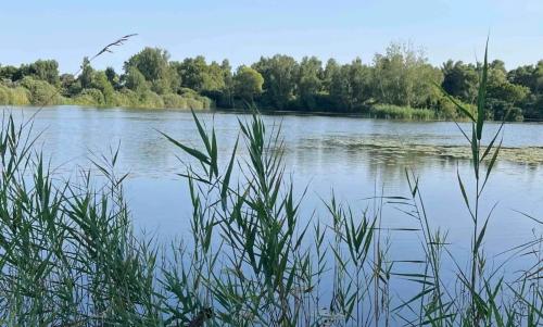 Photo de Reuves
