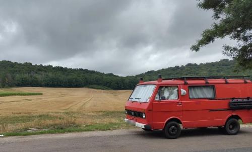 Photo de Reynel