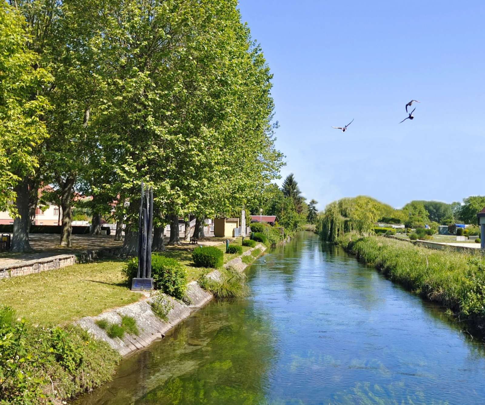 Photo de Rhinau