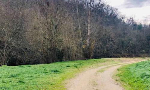 Photo de Rieux-Volvestre