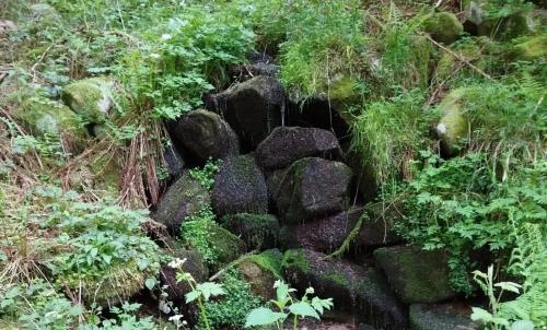 Photo de Rimbachzell