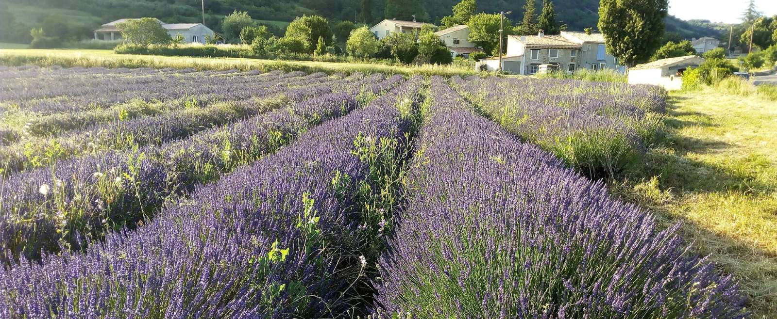 Photo de La Rochegiron