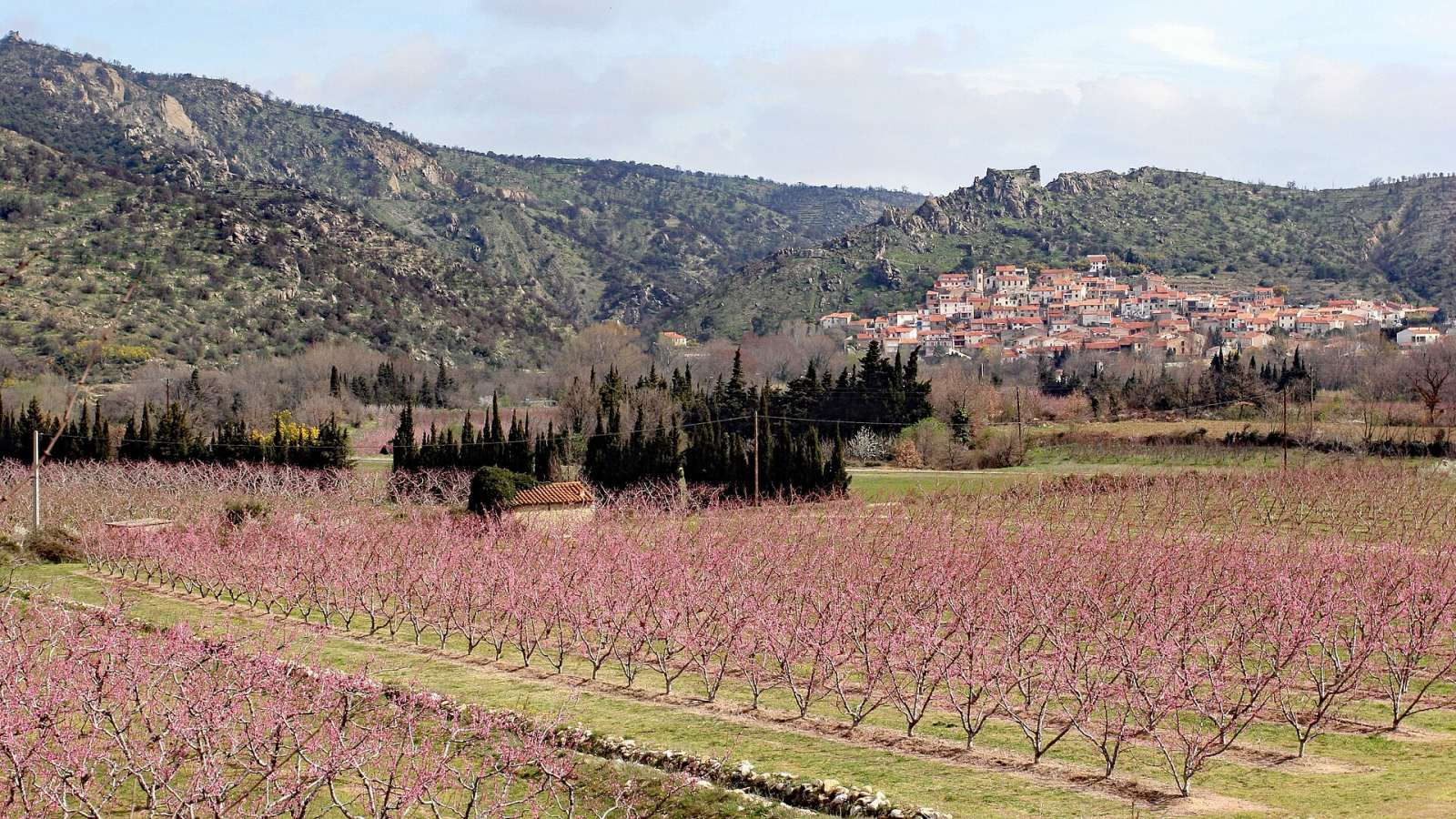 Photo de Rodès