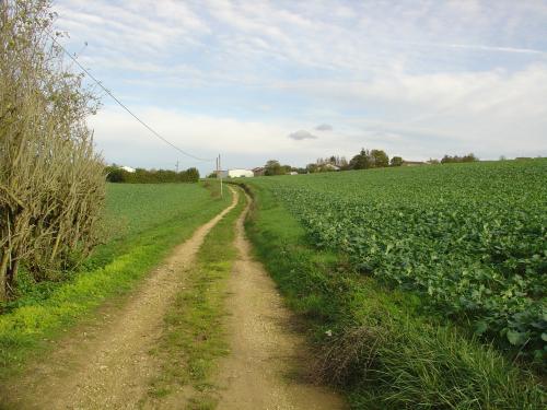 Photo de Rogéville
