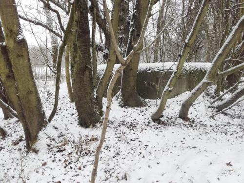Photo de Rohrwiller