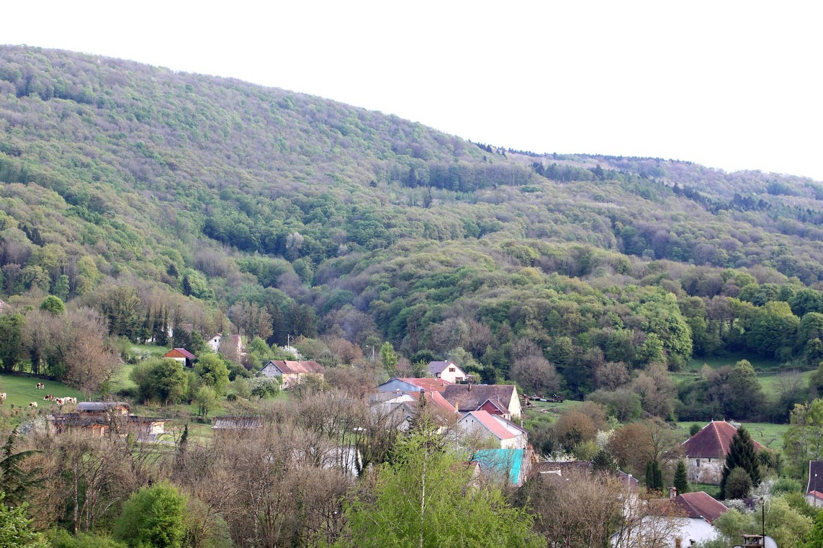 Photo de Ronchaux