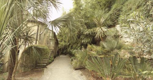 Photo de La Roque-Gageac