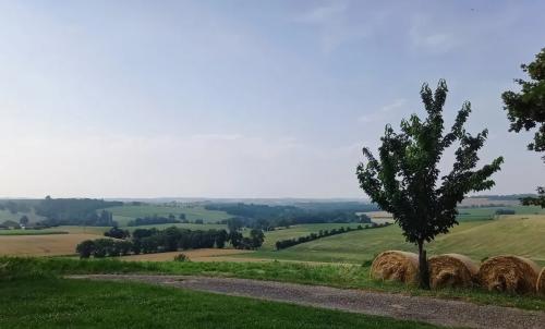 Photo de Roques