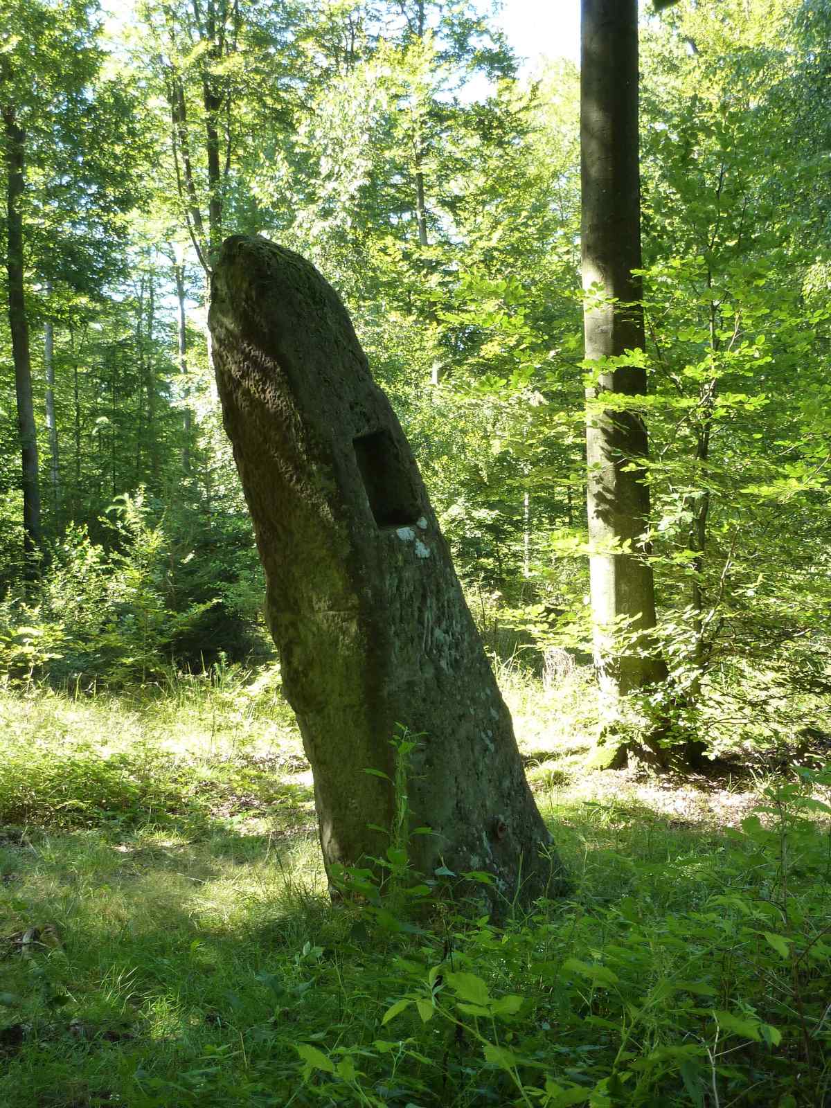 Photo de Rosteig