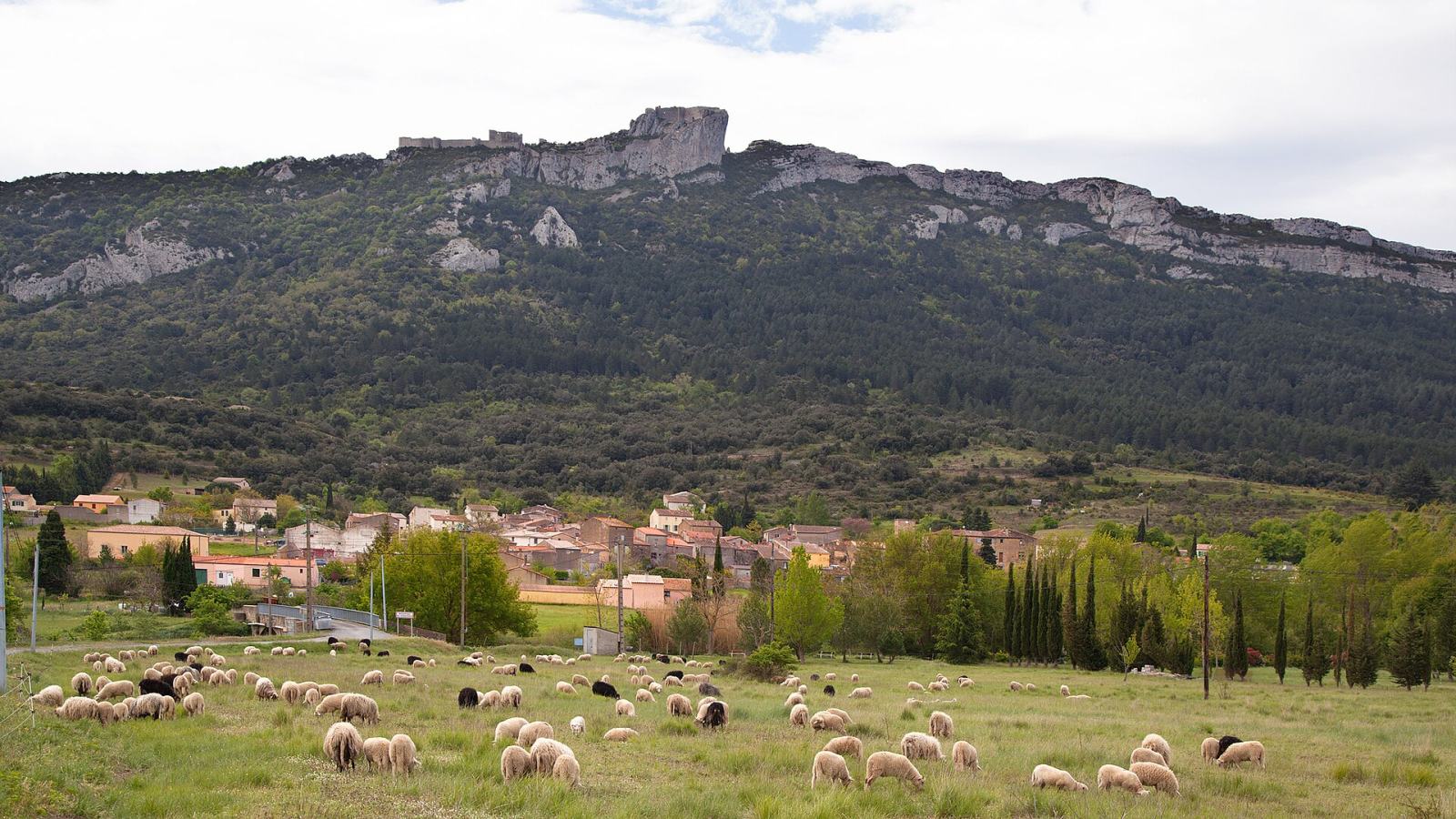 Photo de Rouffiac-des-Corbières