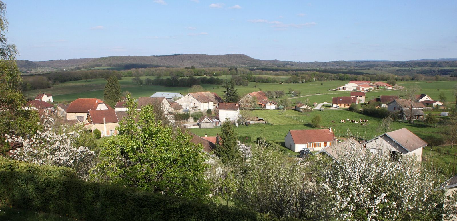 Photo de Rouhe