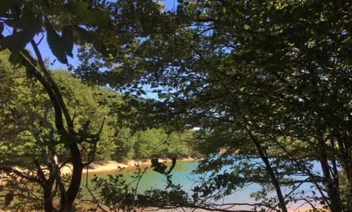 Photo de Roumégoux