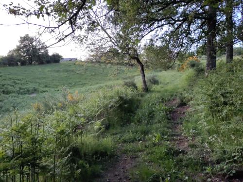 Photo de Sabadel-Latronquière