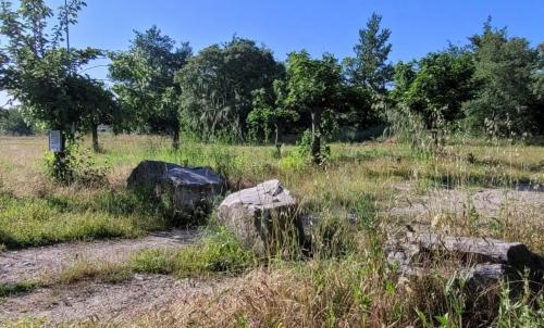 Photo de Saint-Alban-du-Rhône