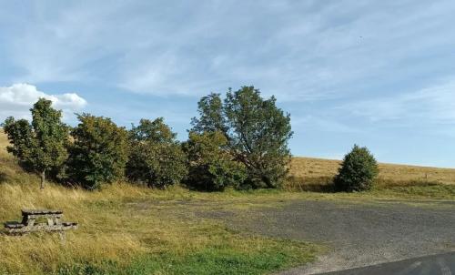 Photo de Saint-Alyre-ès-Montagne