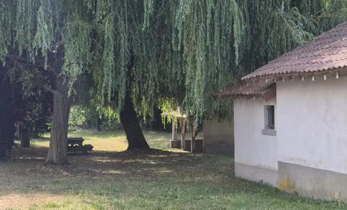 Photo de Saint-André-le-Coq