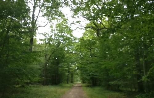 Photo de Saint-Ange-et-Torçay