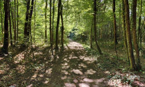 Photo de Saint-Ange-le-Viel