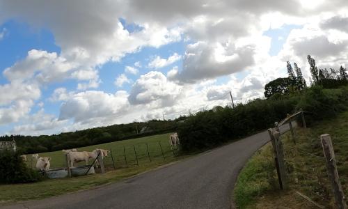 Photo de Saint-Aubin-des-Hayes