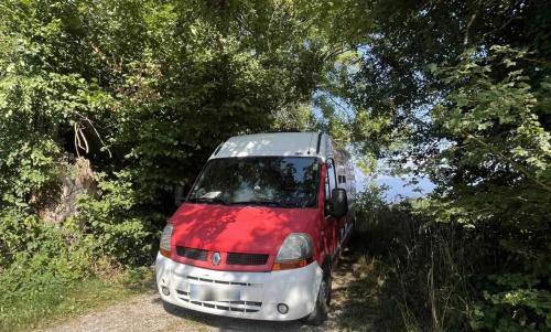 Photo de Saint-Bernard