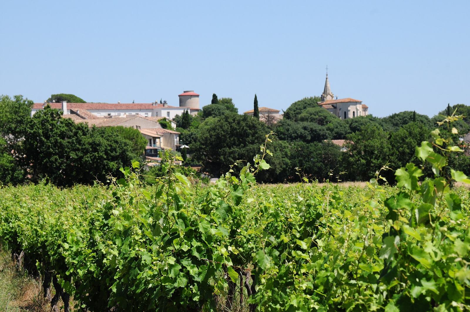 Photo de Saint-Christol