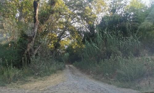 Photo de Saint-Couat-d'Aude