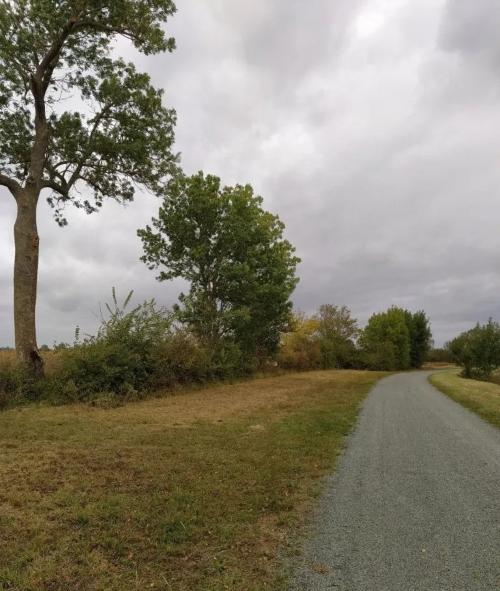 Photo de Saint-Crépin