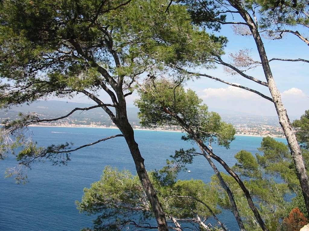 Photo de Saint-Cyr-sur-Mer