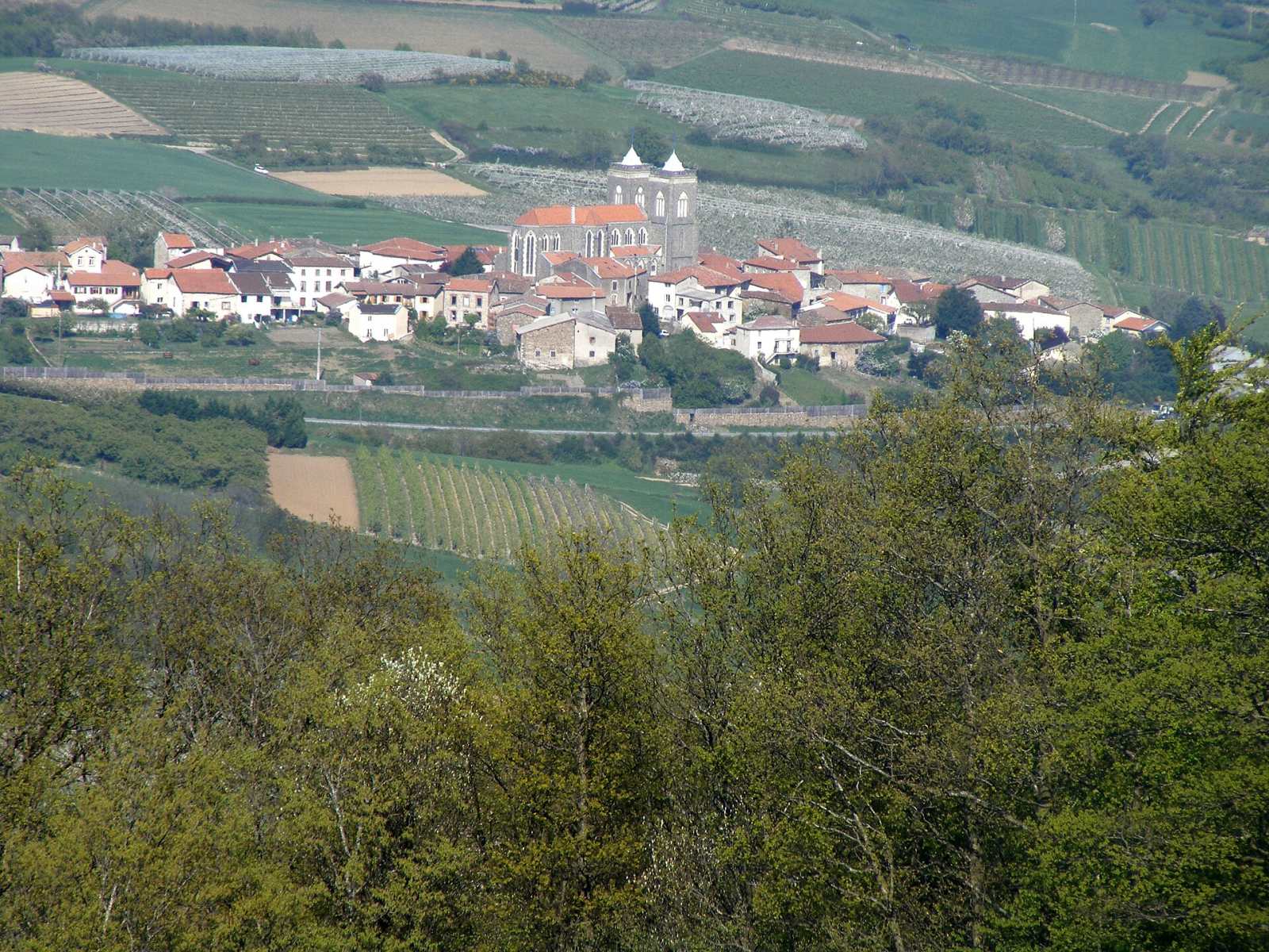 Photo de Saint-Didier-sous-Riverie
