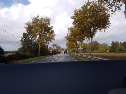 Photo de Saint-Dizant-du-Bois