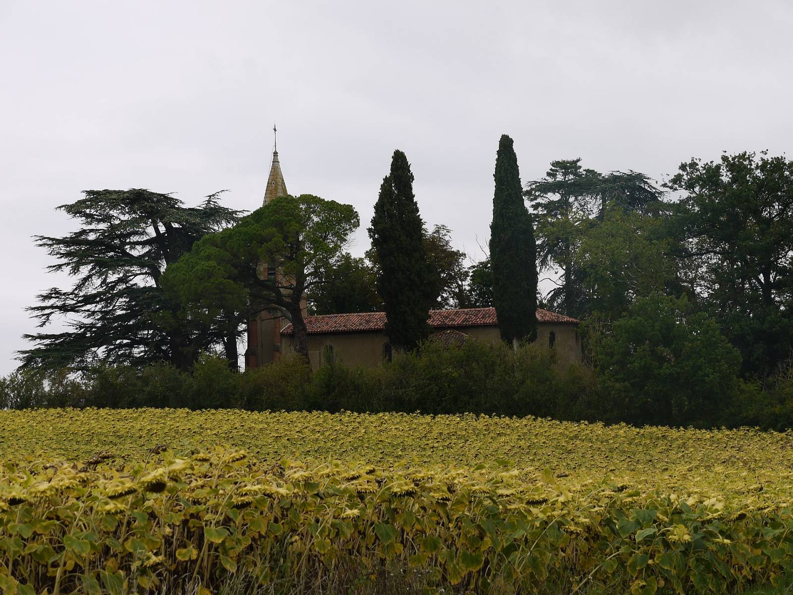 Photo de Saint-Élix