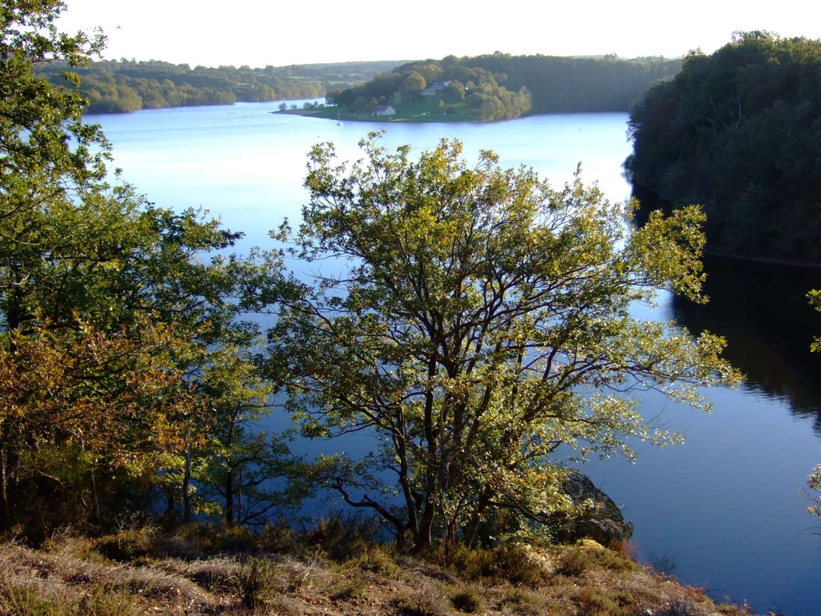 Photo de Saint-Éloy-d'Allier