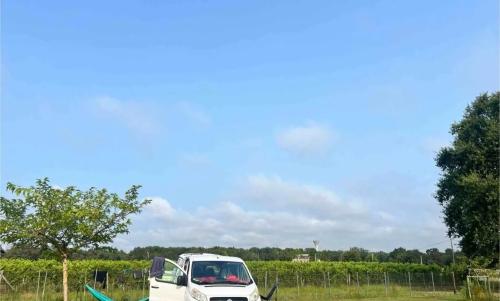 Photo de Saint-Genès-de-Fronsac