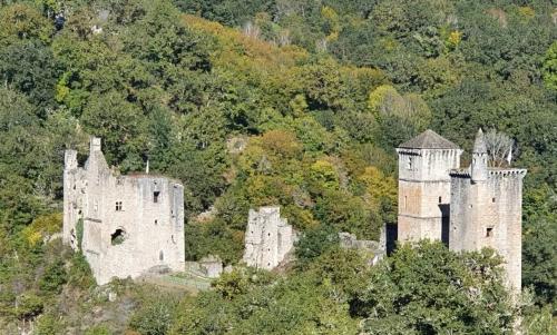 Photo de Saint-Geniez-ô-Merle