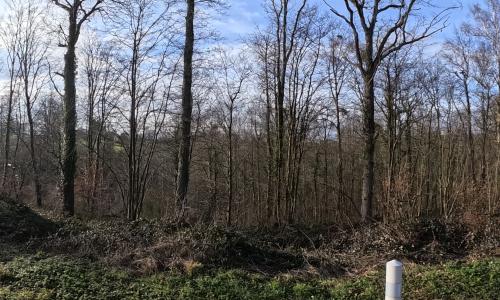 Photo de Saint-Germain-sous-Cailly