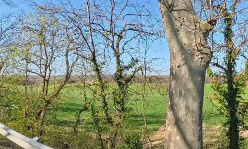 Photo de Saint-Germier