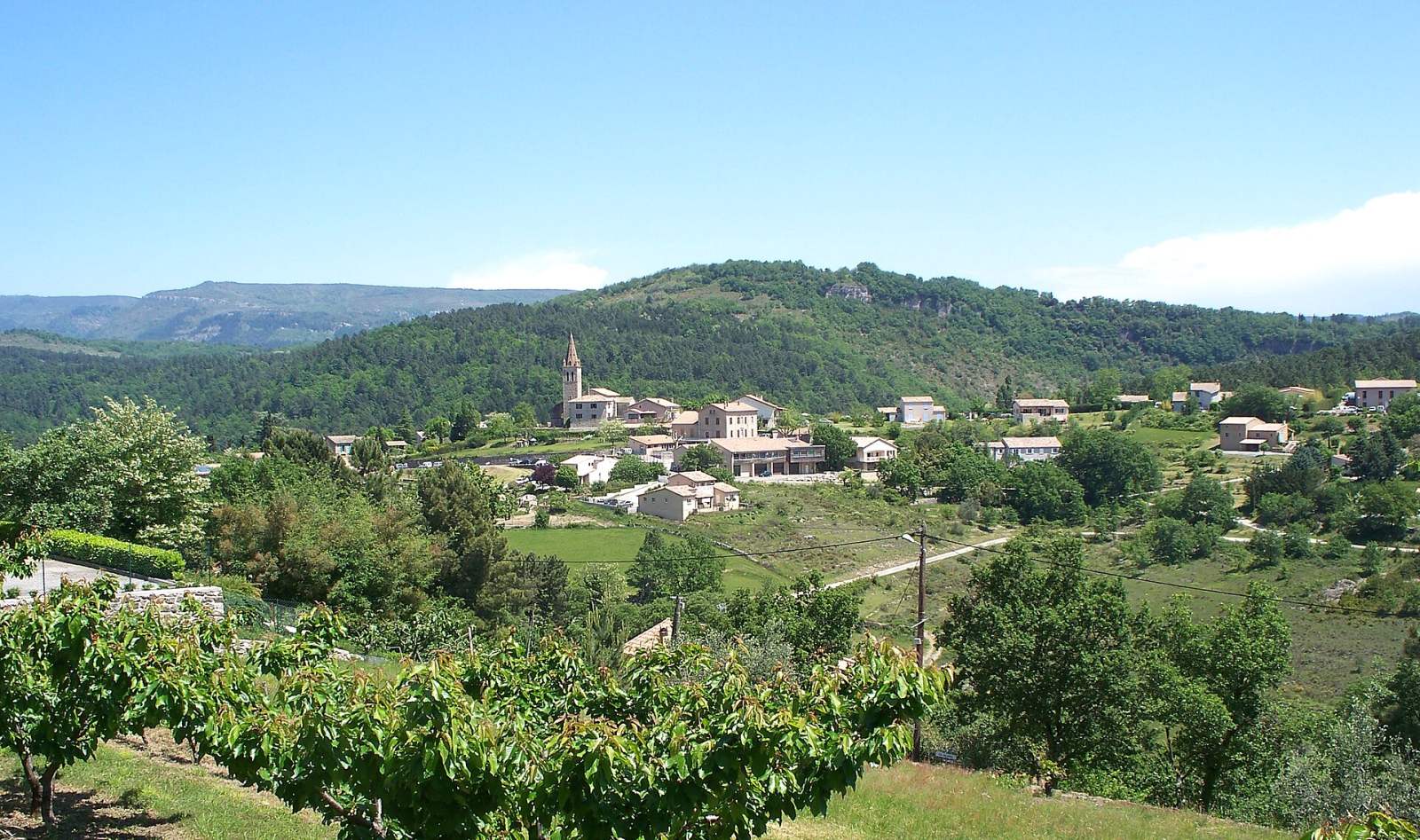 Photo de Saint-Julien-du-Serre