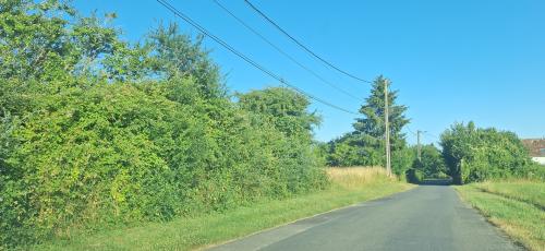 Photo de Saint-Léonard-en-Beauce