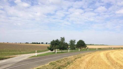 Photo de Saint-Loup-en-Champagne
