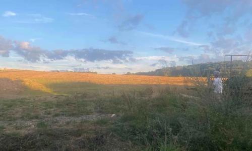 Photo de Saint-Marcel