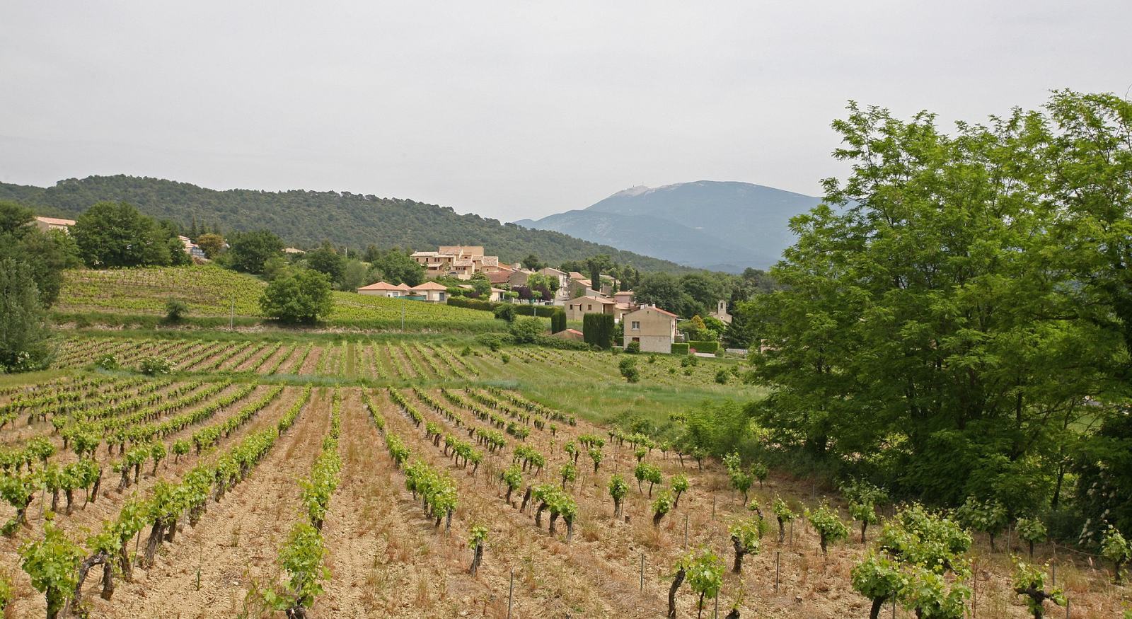 Photo de Saint-Marcellin-lès-Vaison