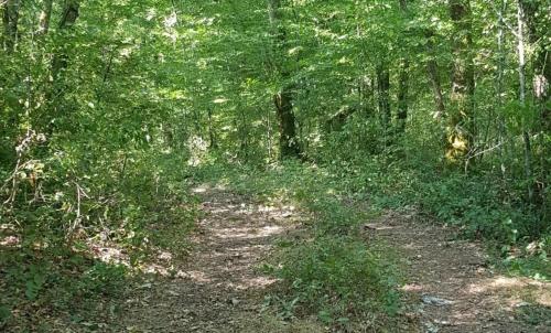 Photo de Saint-Martial-Entraygues